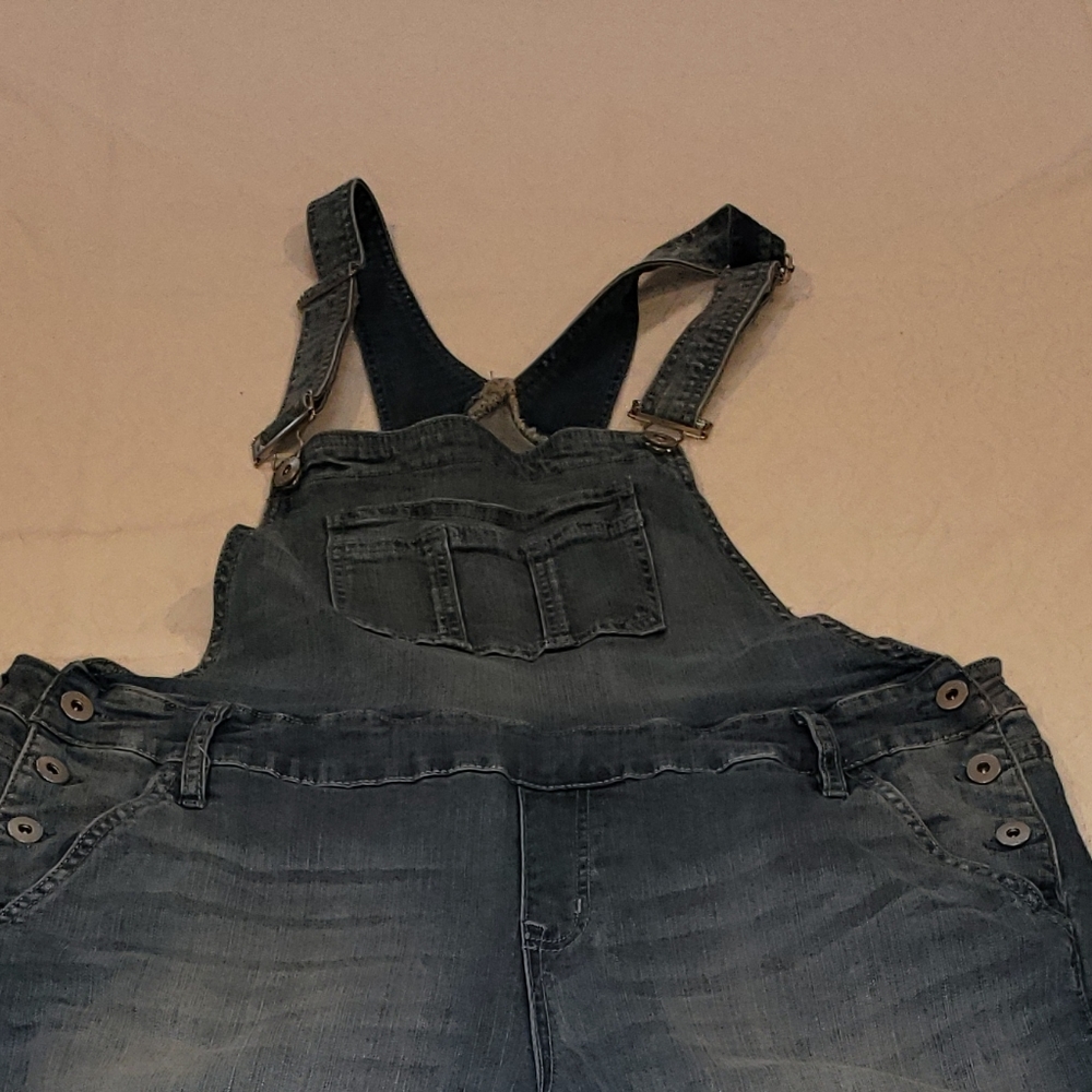 Overall jeans,  Torrid,  18w